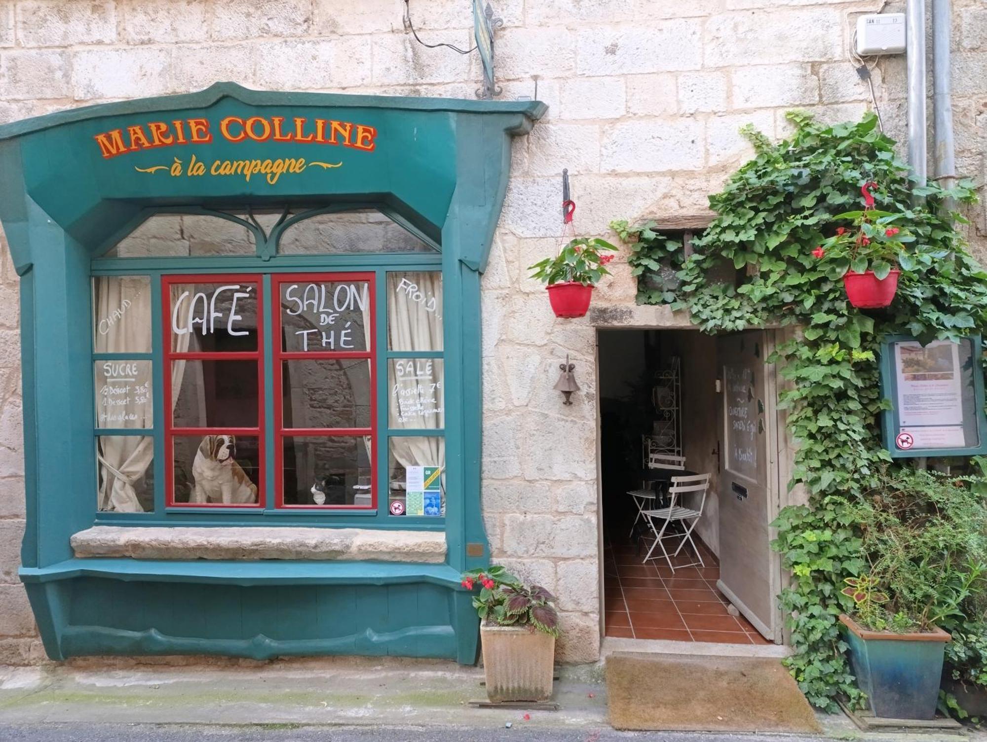 Marie Colline A La Campagne Bed and Breakfast Saint-Antonin Eksteriør billede